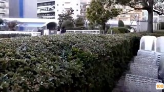 陆一婵上海多人运动报名